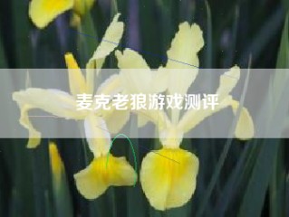 麦克老狼游戏测评