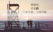 梦幻仙灵游戏：探索无尽仙境的奇幻之旅