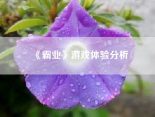 《霸业》游戏体验分析