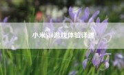 小米S10游戏体验详述