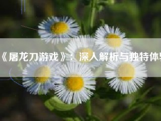 《屠龙刀游戏》：深入解析与独特体验