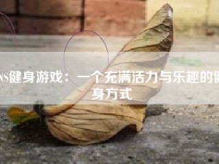 NS健身游戏：一个充满活力与乐趣的健身方式