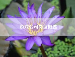 游戏公司岗位概述