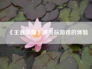 《王者荣耀》演员玩游戏的体验