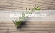 独处游戏：探索孤独的结局