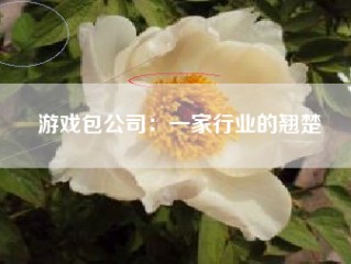 游戏包公司：一家行业的翘楚