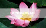 游戏帧数高会怎么样