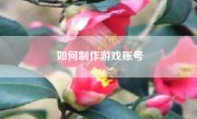 如何制作游戏账号