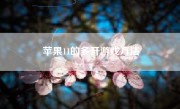 苹果11的多开游戏方法