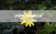 芝麻开门游戏怎么样