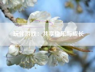 玩伴游戏：共享快乐与成长