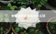 射击游戏延迟高会怎么样