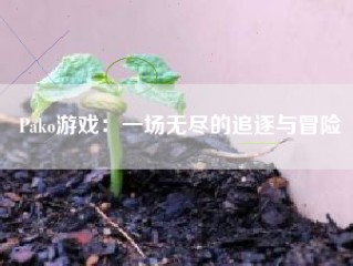 Pako游戏：一场无尽的追逐与冒险