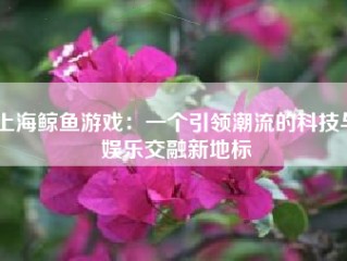 上海鲸鱼游戏：一个引领潮流的科技与娱乐交融新地标