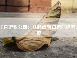 红日游戏公司：从起点到卓越的探索之路