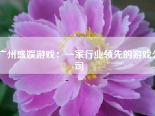 广州盛娱游戏：一家行业领先的游戏公司