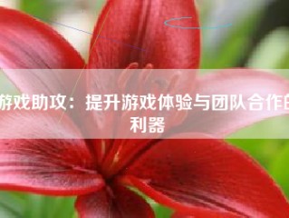 游戏助攻：提升游戏体验与团队合作的利器