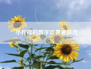 小柠檬的数字世界里游戏