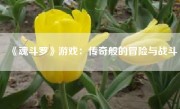 《魂斗罗》游戏：传奇般的冒险与战斗