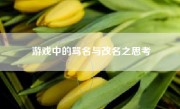游戏中的骂名与改名之思考