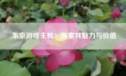 东京游戏主机：探索其魅力与价值