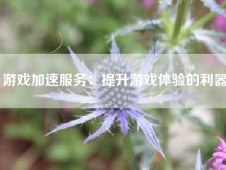 游戏加速服务：提升游戏体验的利器