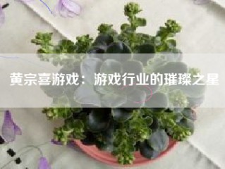 黄宗喜游戏：游戏行业的璀璨之星