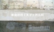 果盘游戏《天子》怎么样