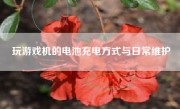 玩游戏机的电池充电方式与日常维护