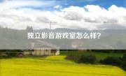 独立影音游戏室怎么样？