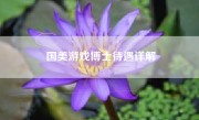国美游戏博士待遇详解
