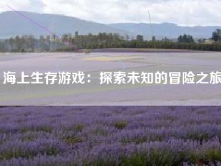 海上生存游戏：探索未知的冒险之旅