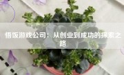 悟饭游戏公司：从创业到成功的探索之路