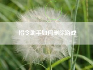 指令助手如何删除游戏