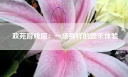 政苑游戏馆：一场别样的娱乐体验