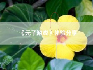 《元子游戏》体验分享