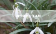 游戏裁判工作详解