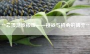 **云顶游戏搬砖——挑战与机会的博弈**