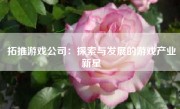 拓推游戏公司：探索与发展的游戏产业新星