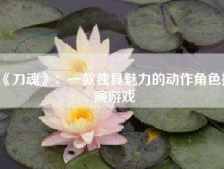 《刀魂》：一款独具魅力的动作角色扮演游戏