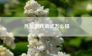 外包游戏测试怎么样
