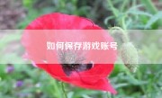 如何保存游戏账号