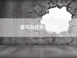 雷鸟游戏体验分析