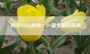 购买Switch游戏：一篇全面的指南