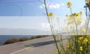 引言