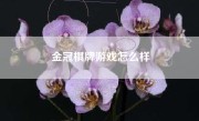 金冠棋牌游戏怎么样