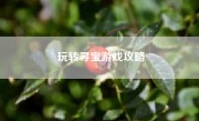 玩转寻宝游戏攻略