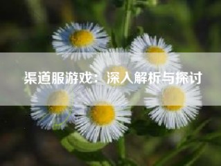 渠道服游戏：深入解析与探讨