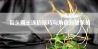 街头霸王连招技巧与角色对战策略