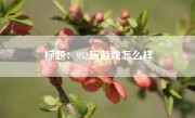 标题：952玩游戏怎么样